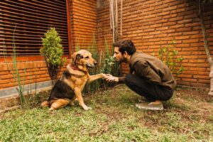 Pet Insurance for Dogs in India