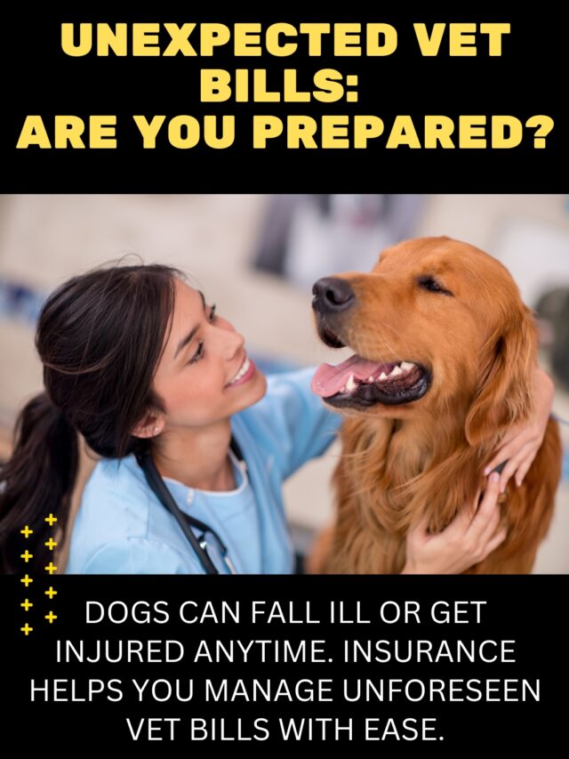 Are You Prepared for Unexpected Vet Bills?