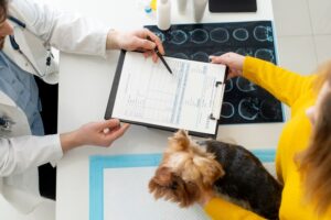 Pet Insurance